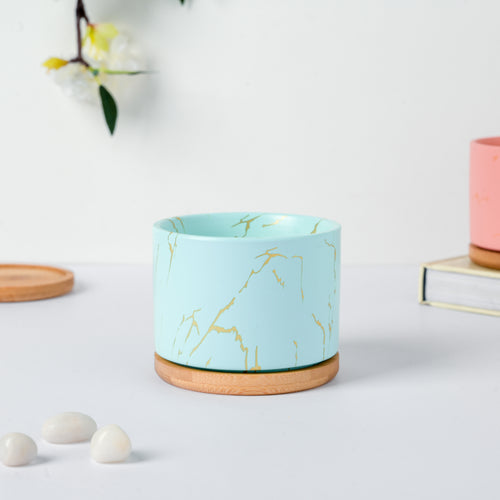 Botanical Bliss Ceramic Planter With Coaster Set Of 6