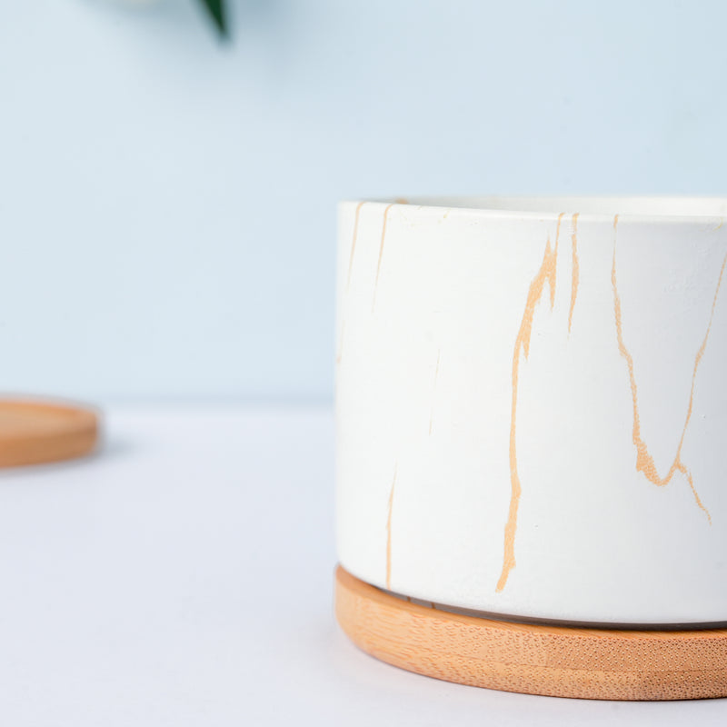 Pure White Ceramic Planter With Coaster - Indoor planters and flower pots | Home decor items