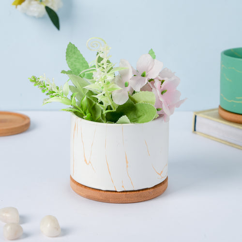 Botanical Bliss Ceramic Planter With Coaster Set Of 6
