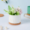 Pure White Ceramic Planter With Coaster - Indoor planters and flower pots | Home decor items