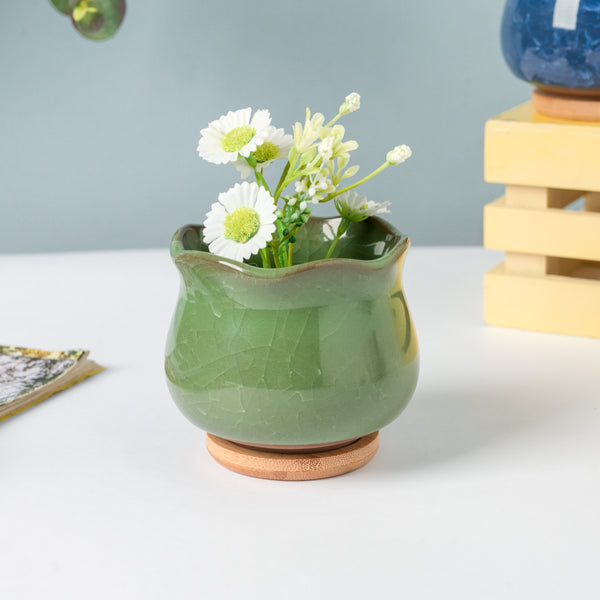 Botanica Green Ceramic Planter With Coaster - Indoor planters and flower pots | Home decor items