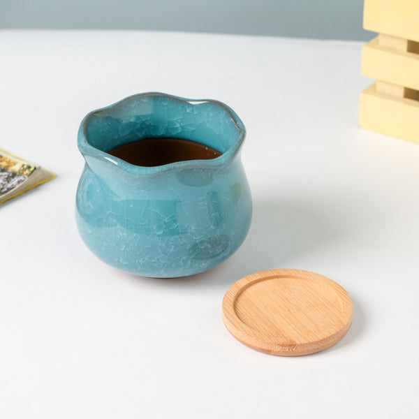 Botanica Blue Ceramic Planter With Coaster