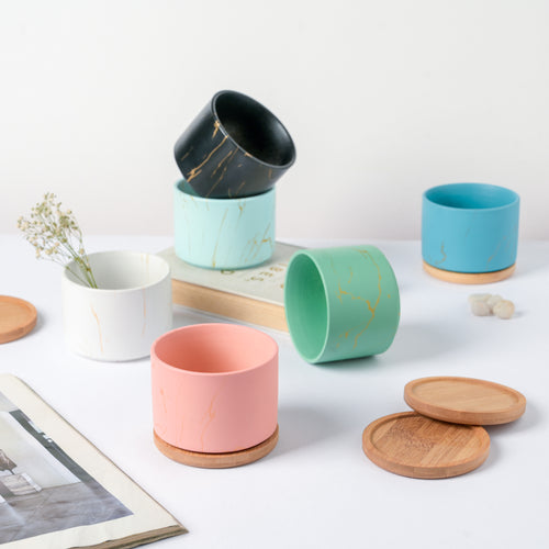 Botanical Bliss Ceramic Planter With Coaster Set Of 6