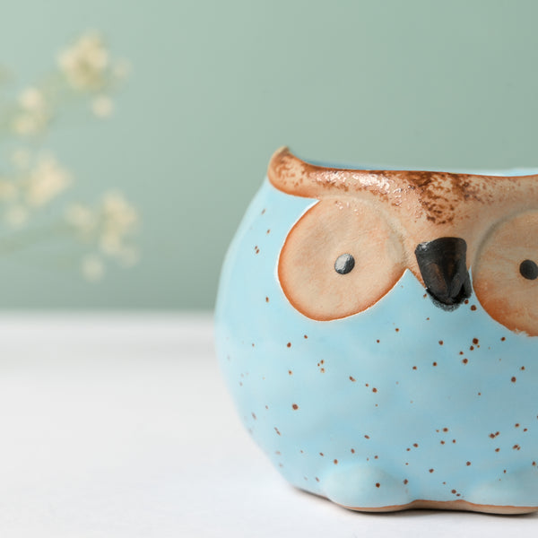 Blue Hoot Owl Ceramic Planter - Indoor planters and flower pots | Home decor items
