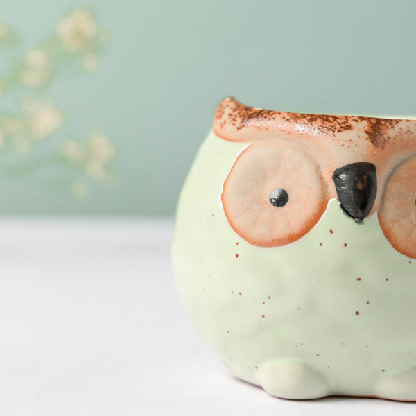 Green Hoot Owl Ceramic Planter - Indoor planters and flower pots | Home decor items