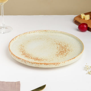 Earthy Stoneware Round Dinner Plate 10 Inch