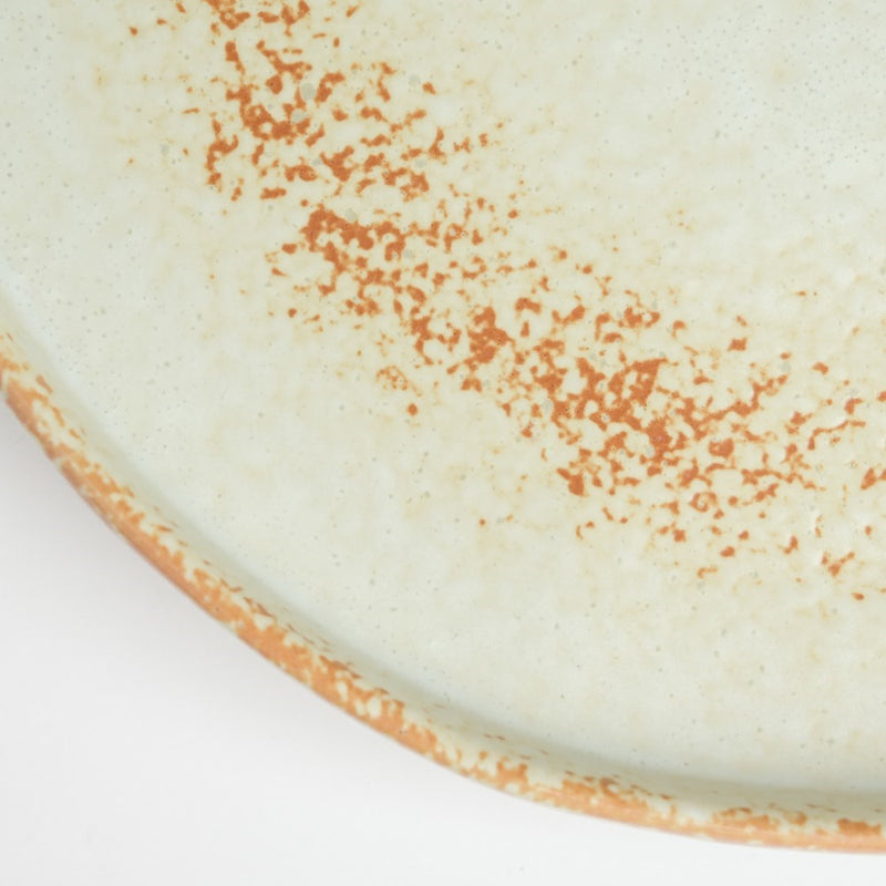 Earthy Stoneware Round Dinner Plate 10 Inch - Serving plate, snack plate, ceramic dinner plates| Plates for dining table & home decor