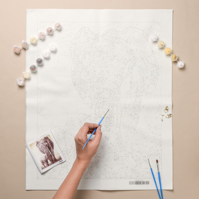 Elephant And Cub DIY Painting By Numbers Kit