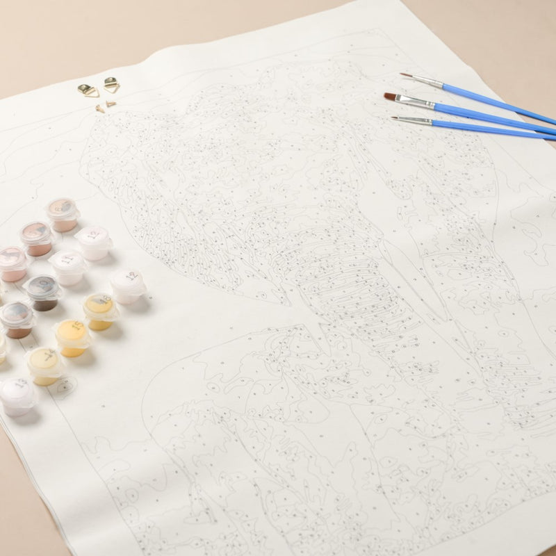 Elephant And Cub DIY Painting By Numbers Kit