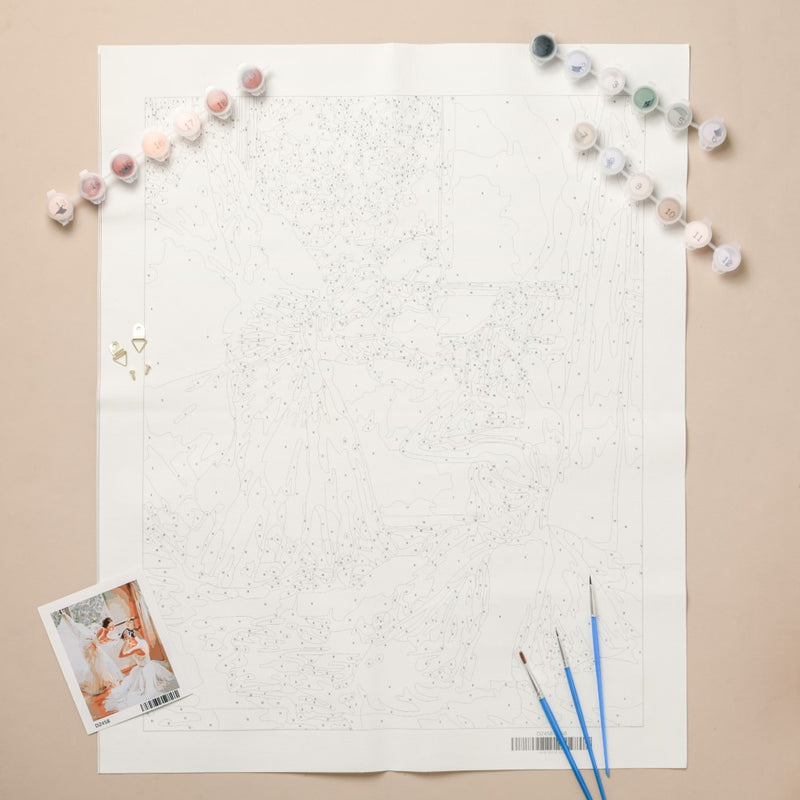 Elegant Ballet Dancers DIY Painting By Numbers Kit