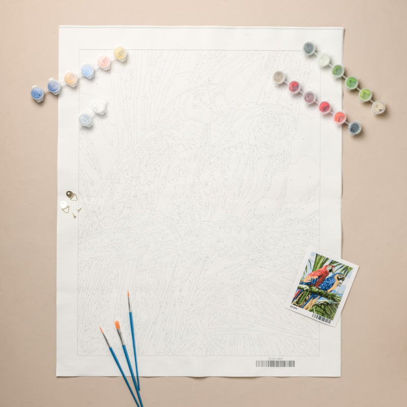 Tropical Macaws DIY Painting By Numbers Kit