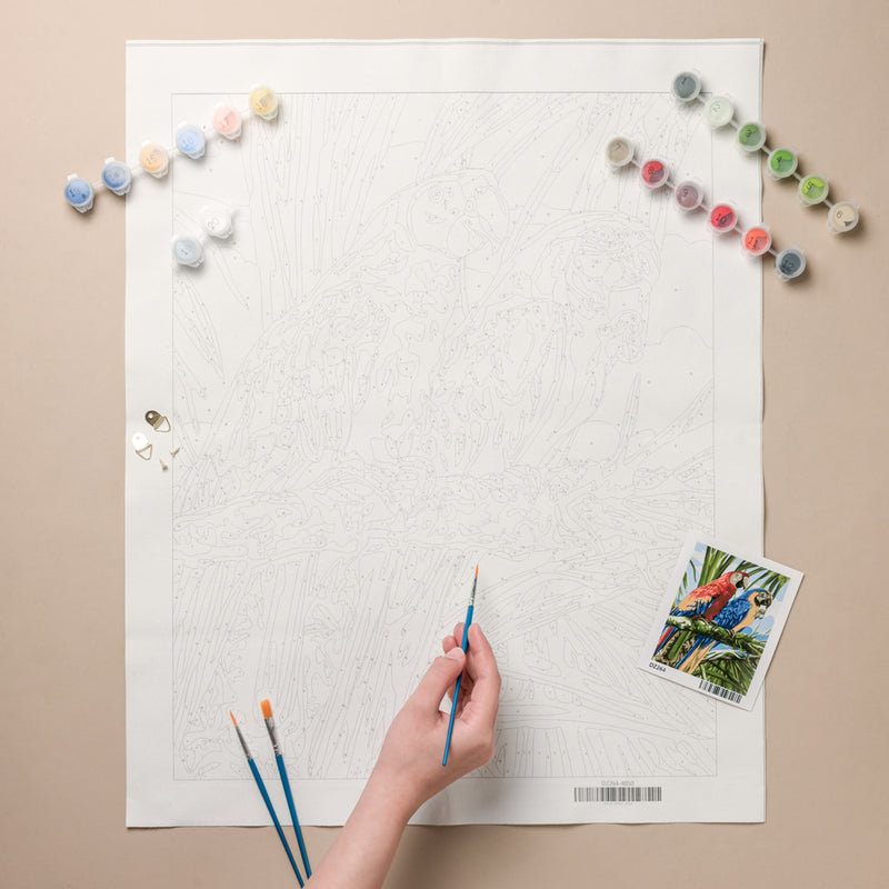 Tropical Macaws DIY Painting By Numbers Kit