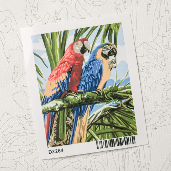 Tropical Macaws DIY Painting By Numbers Kit