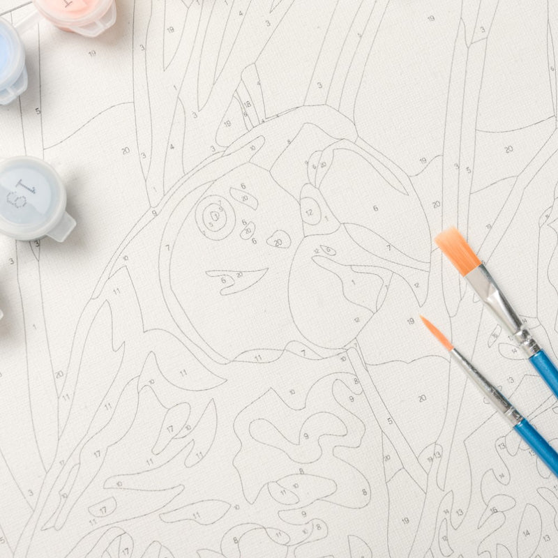 Tropical Macaws DIY Painting By Numbers Kit