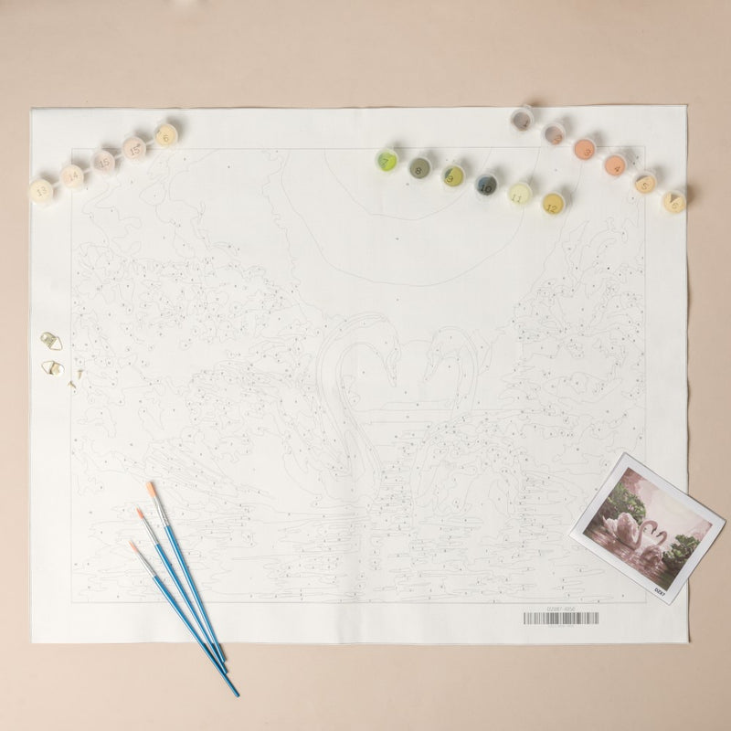 Swans Pair DIY Painting By Numbers Kit