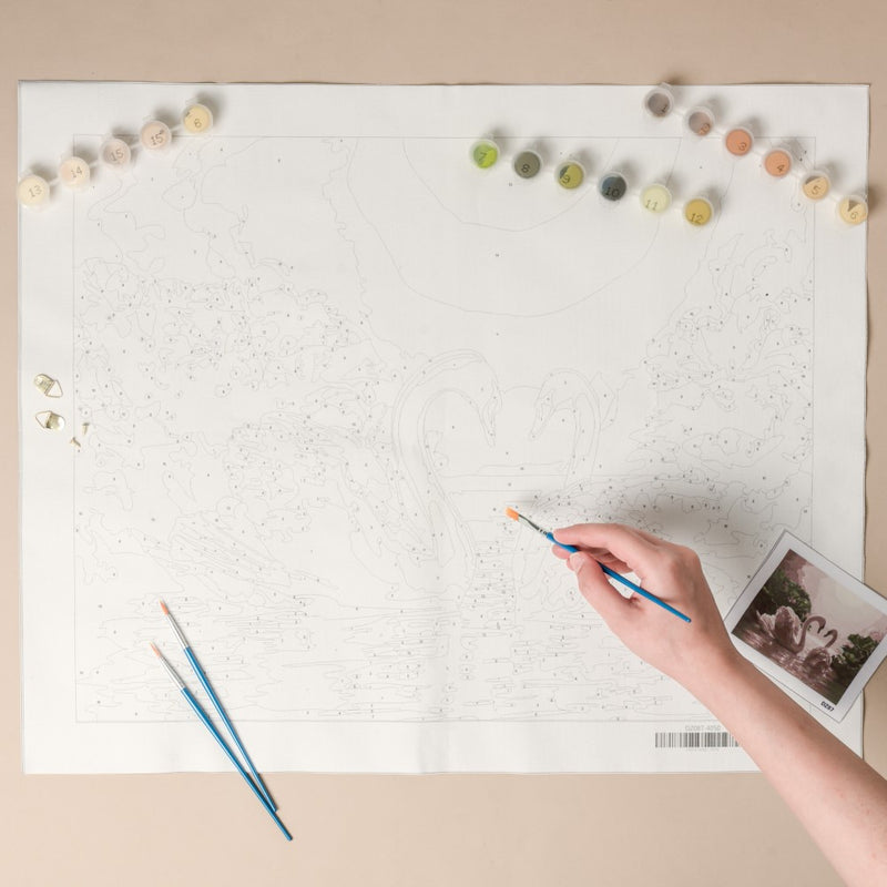 Swans Pair DIY Painting By Numbers Kit