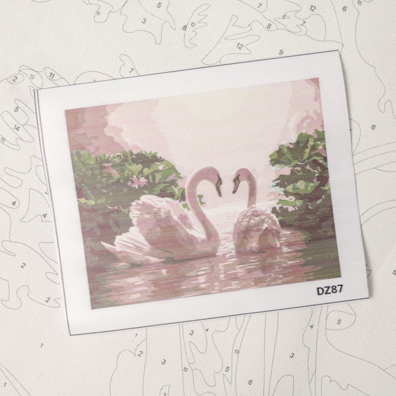 Swans Pair DIY Painting By Numbers Kit