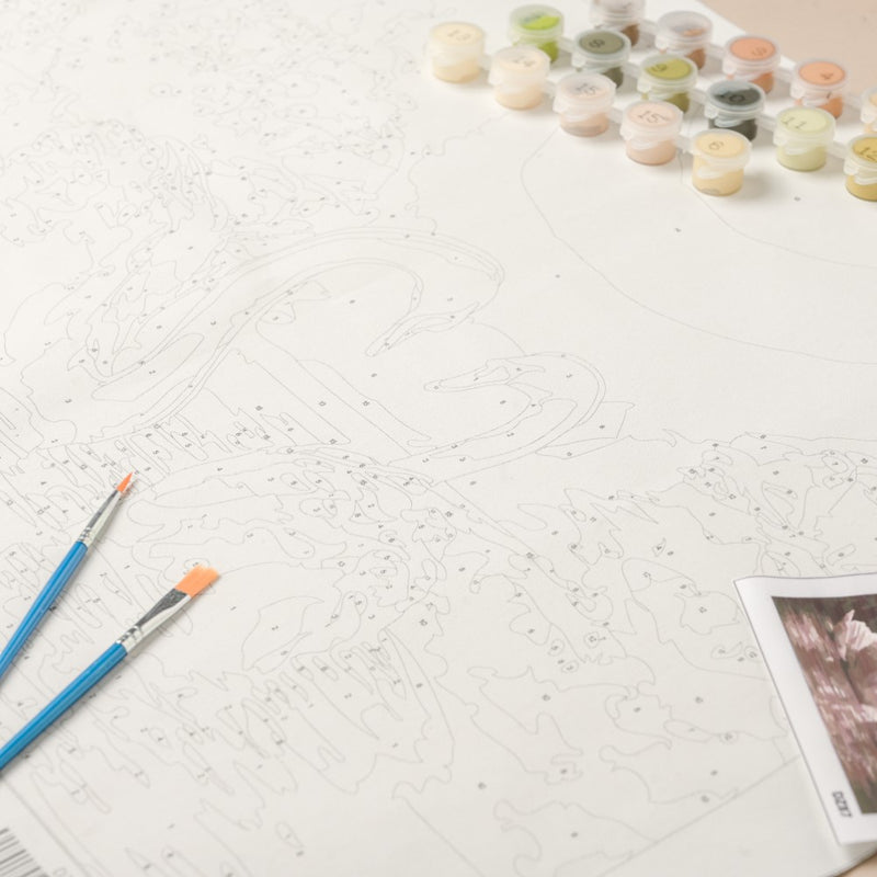 Swans Pair DIY Painting By Numbers Kit