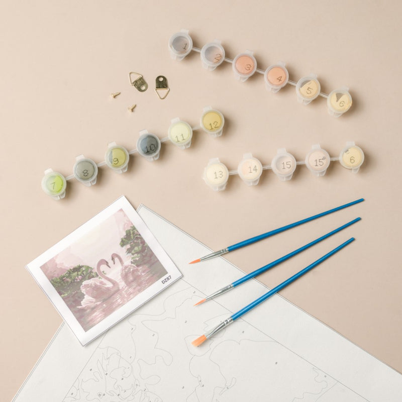 Swans Pair DIY Painting By Numbers Kit