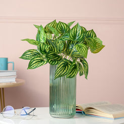 Artificial Peperomia Watermelon Leaves Set Of 2 - Artificial Plant | Flower for vase | Home decor item | Room decoration item