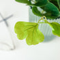 Artificial Decorative Ginkgo Biloba Leaves Set of 2 - Artificial Plant | Flower for vase | Home decor item | Room decoration item