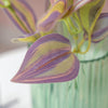 Vibrant Faux Green Leaves For Decor Set Of 2 - Artificial Plant | Flower for vase | Home decor item | Room decoration item
