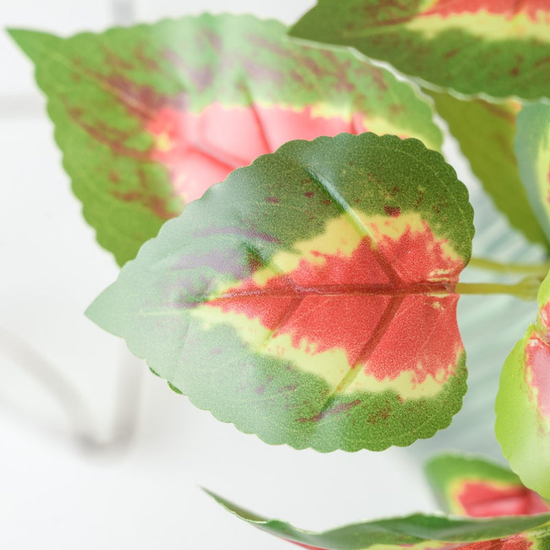 Artificial Decorative Coleus Leaves Set of 2 - Artificial Plant | Flower for vase | Home decor item | Room decoration item