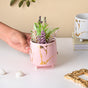 Halcyon Gold Pink Marble Ceramic Planter With Legs Small - Indoor planters and flower pots | Home decor items