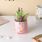 Halcyon Gold Pink Marble Ceramic Planter With Legs Small - Indoor planters and flower pots | Home decor items