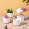 White Ceramic Planter Cylinder Set Of 4