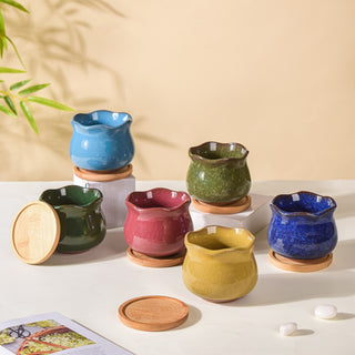 Nature Nest Indoor Planter With Coaster Set Of 6