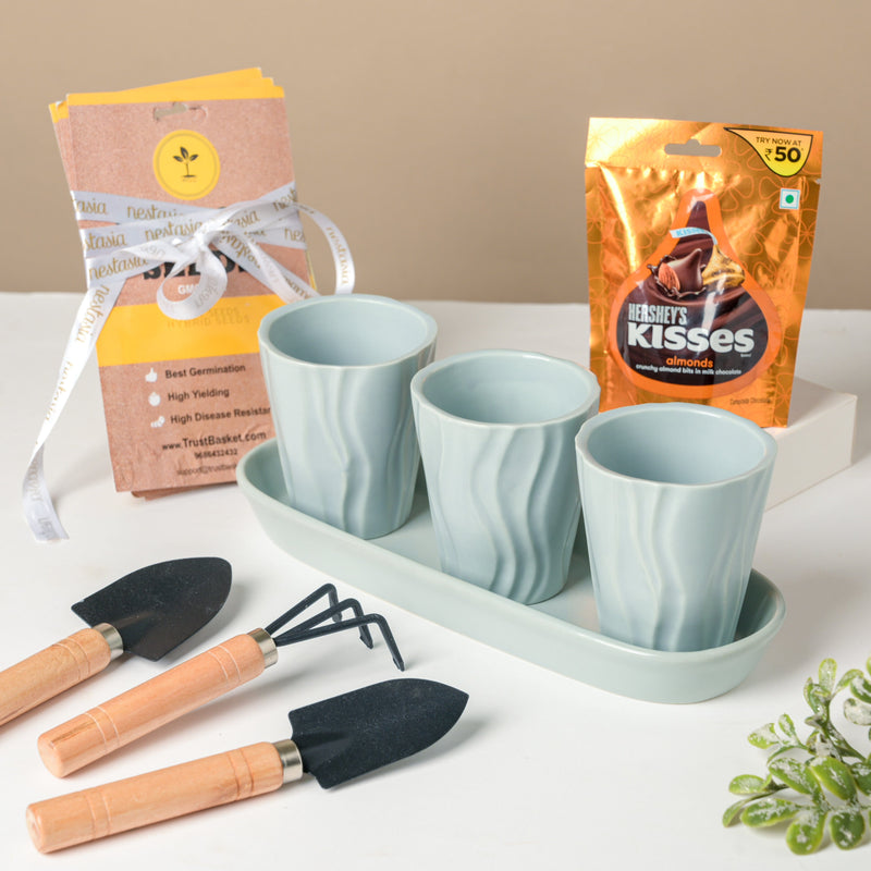 Planter, Tool And Seeds Diwali Hamper Set Of 7