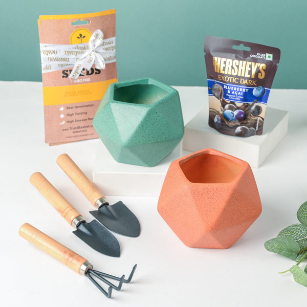 Plant Pot, Tools, And Seeds Festive Hamper Set Of 6