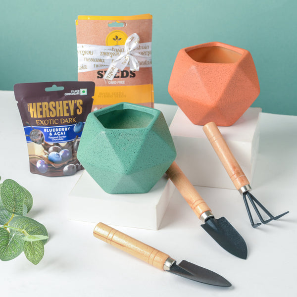 Plant Pot, Tools, And Seeds Festive Hamper Set Of 6