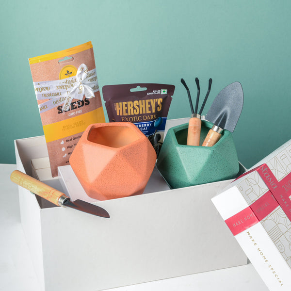 Plant Pot, Tools, And Seeds Festive Hamper Set Of 6