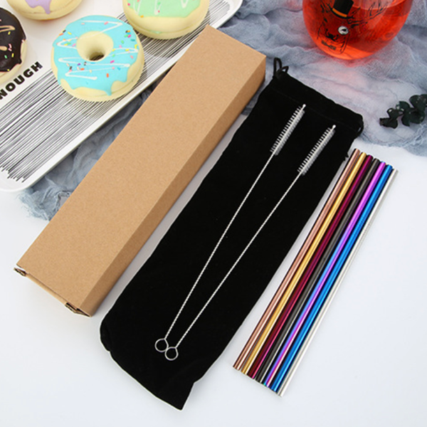 Stainless Steel Straw Set of 2