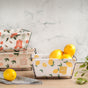 Fruit Storage Basket - Basket | Organizer | Kitchen basket | Fruit basket