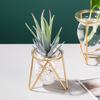 Glass Planter - Indoor planters and flower pots | Home decor items