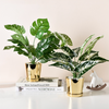 Gold Pot Plant - Artificial Plant | Flower for vase | Home decor item | Room decoration item
