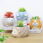 Hedgehog Planter - Indoor planters and flower pots | Home decor items