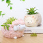 Hedgehog Planter - Indoor planters and flower pots | Home decor items