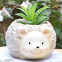 Hedgehog Planter - Indoor planters and flower pots | Home decor items