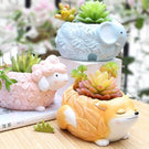 Fox Planter