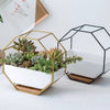 Gold Hexagon Planter - Indoor planters and flower pots | Home decor items