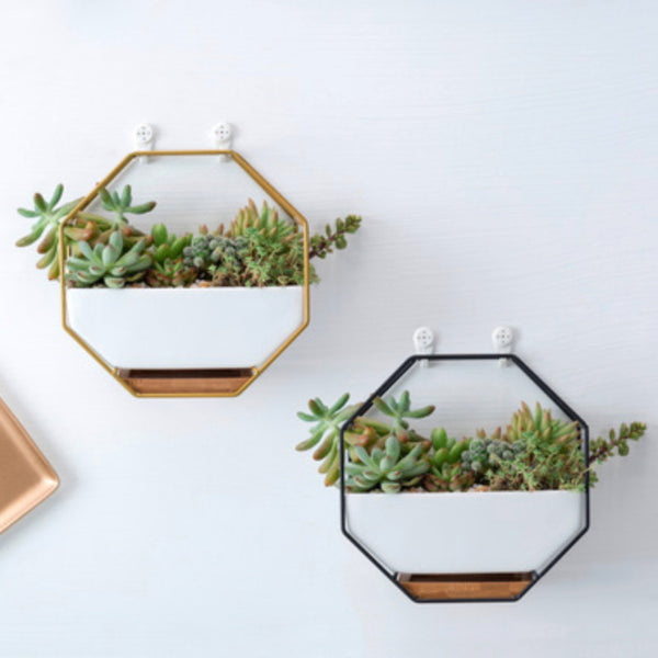Hexagon Planter - Indoor planters and flower pots | Home decor items