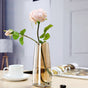 Transparent Glass Vase - Flower vase for home decor, office and gifting | Home decoration items