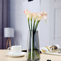 Transparent Glass Vase - Flower vase for home decor, office and gifting | Home decoration items