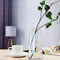 Transparent Glass Vase - Flower vase for home decor, office and gifting | Home decoration items