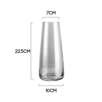 Transparent Glass Vase