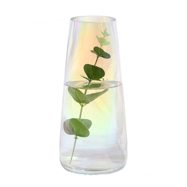 Transparent Glass Vase